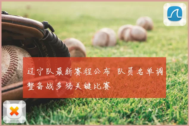 辽宁队最新赛程公布 队员名单调整备战多场关键比赛